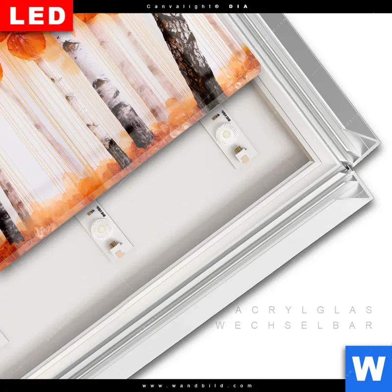 Leuchtbild Acrylglas Canvalight® DIA | Herbstlicht | Querformat