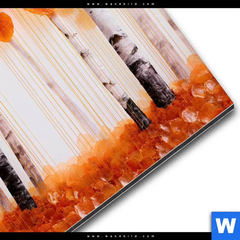 Alu-Dibond Bild | Herbstlicht | Quadrat