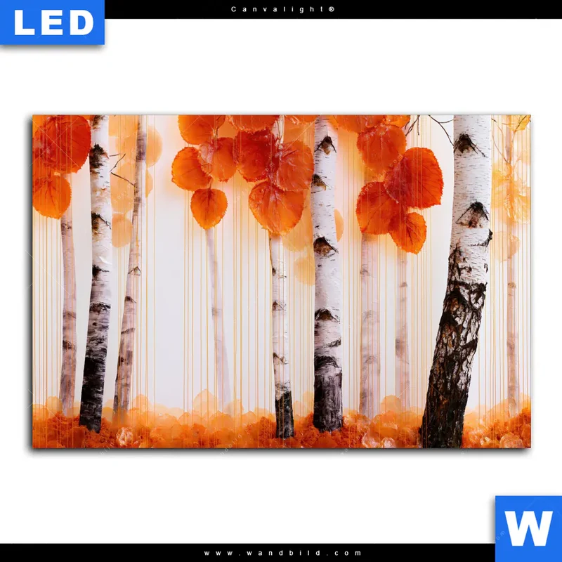 Canvalight® Leuchtbild | Herbstlicht | Querformat