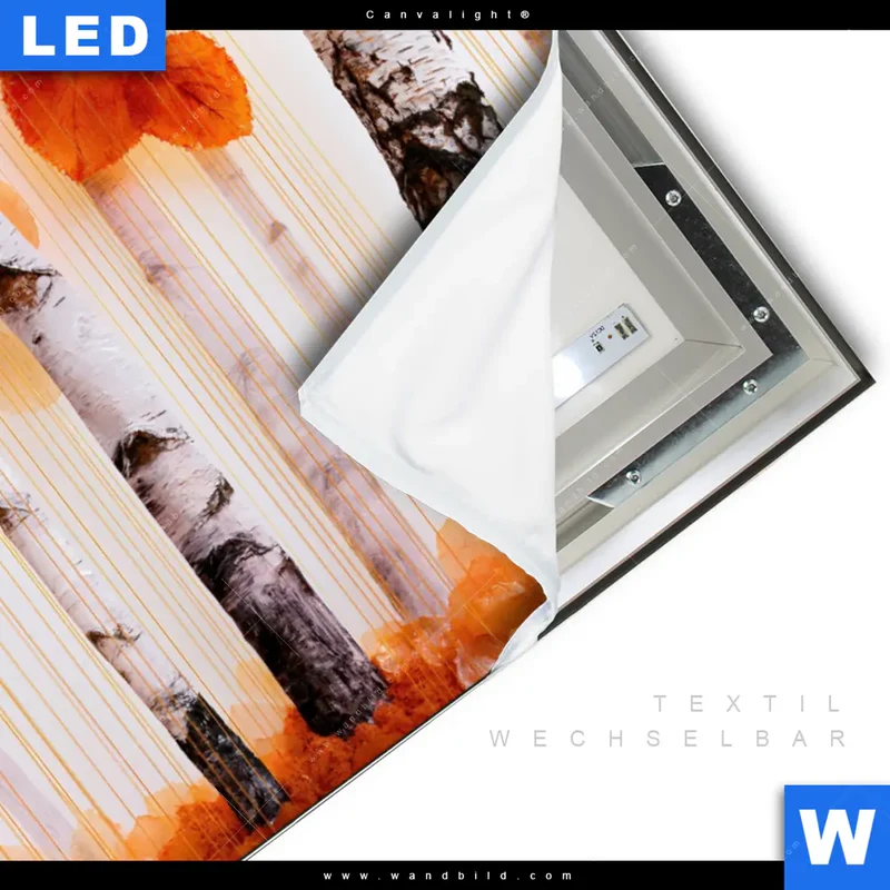 Canvalight® Leuchtbild | Herbstlicht | Querformat
