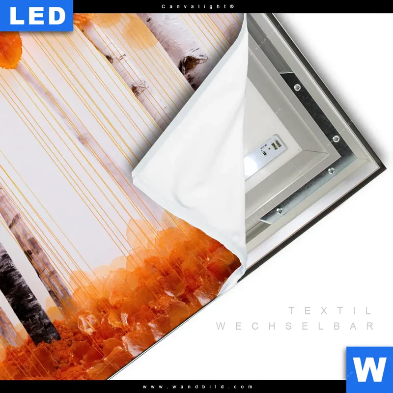 Canvalight® Leuchtbild | Herbstlicht | Quadrat