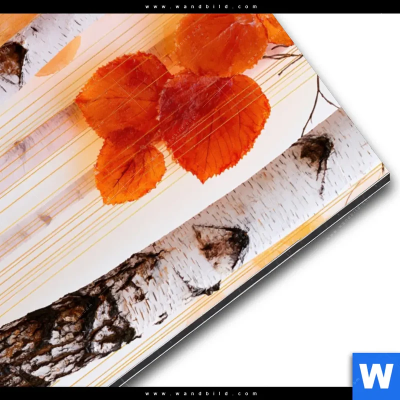 Alu-Dibond Bild | Herbstlicht | Hochformat