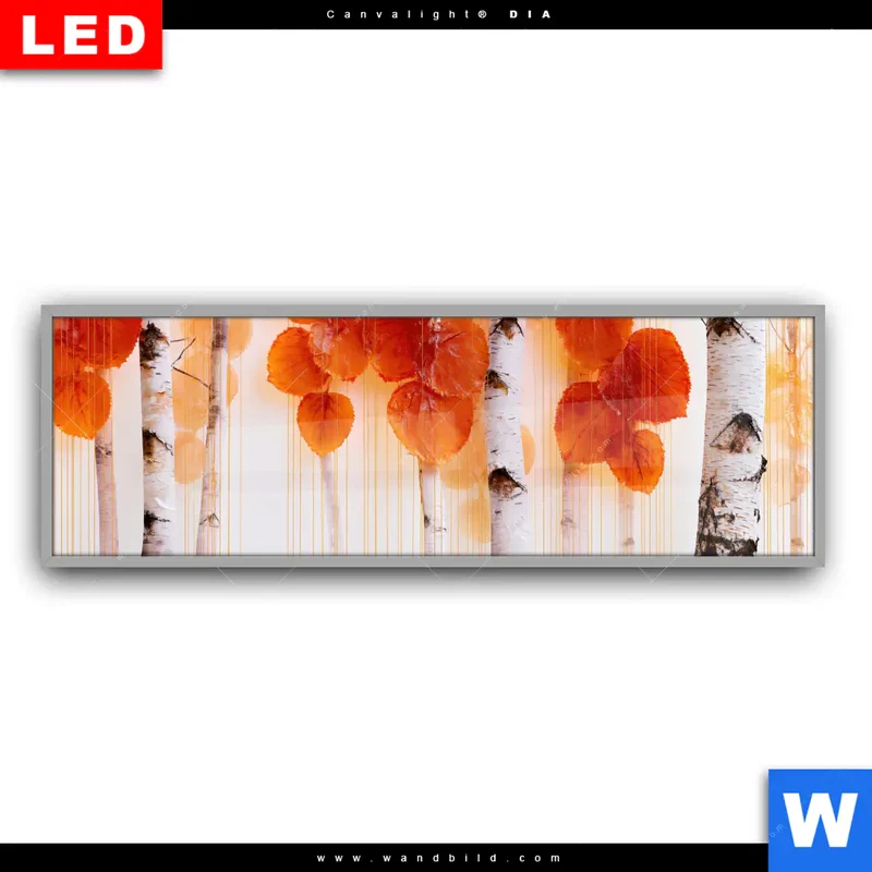 Leuchtbild Acrylglas Canvalight® DIA | Herbstlicht | Panorama