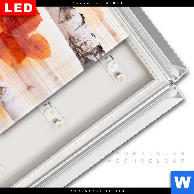 Leuchtbild Acrylglas Canvalight® DIA | Herbstlicht | Panorama