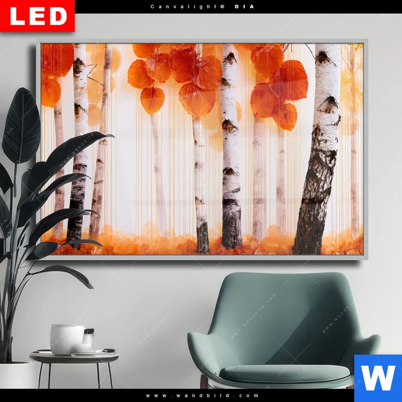 Wechselmotiv Acrylglas Canvalight® DIA | Herbstlicht | Querformat