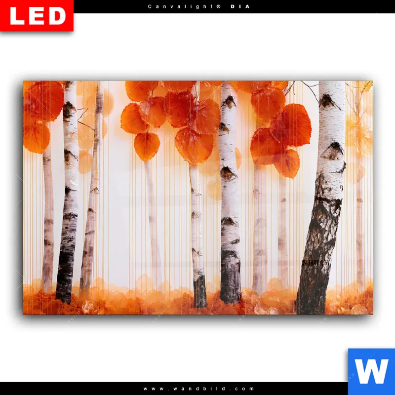 Wechselmotiv Acrylglas Canvalight® DIA | Herbstlicht | Querformat