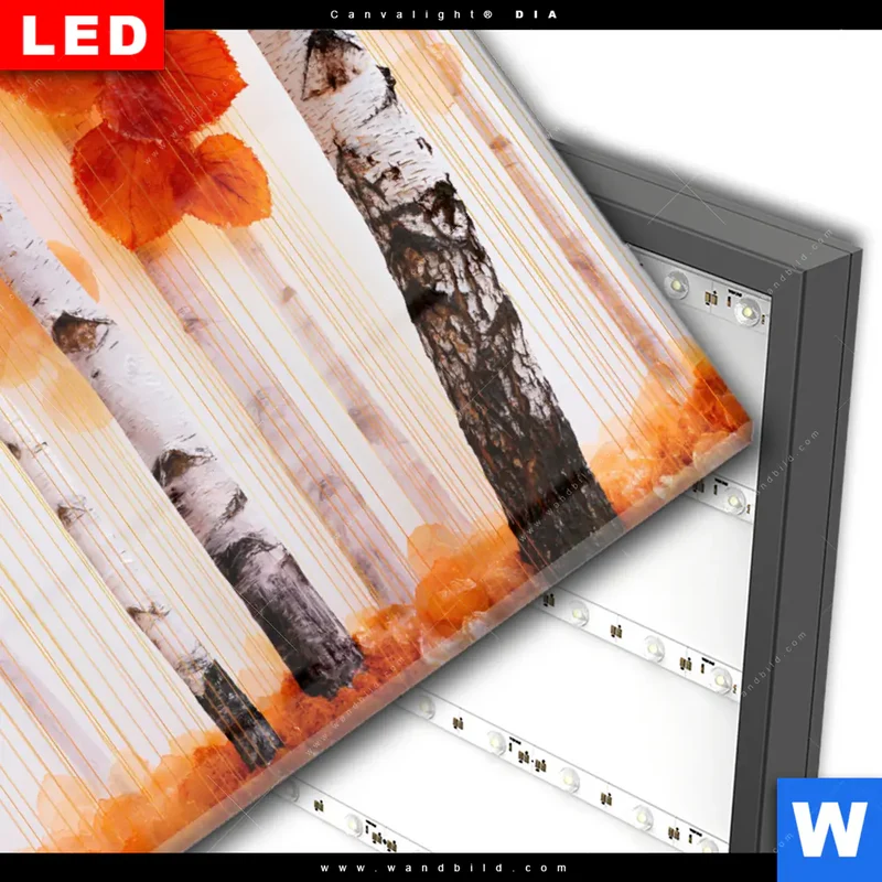 Wechselmotiv Acrylglas Canvalight® DIA | Herbstlicht | Querformat
