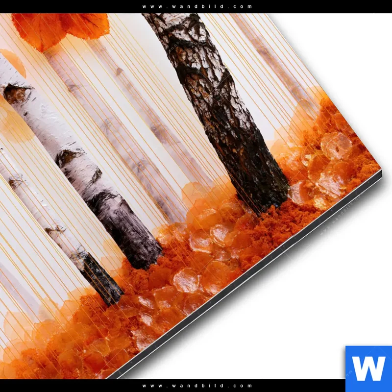 Alu-Dibond Bild | Herbstlicht | Rund