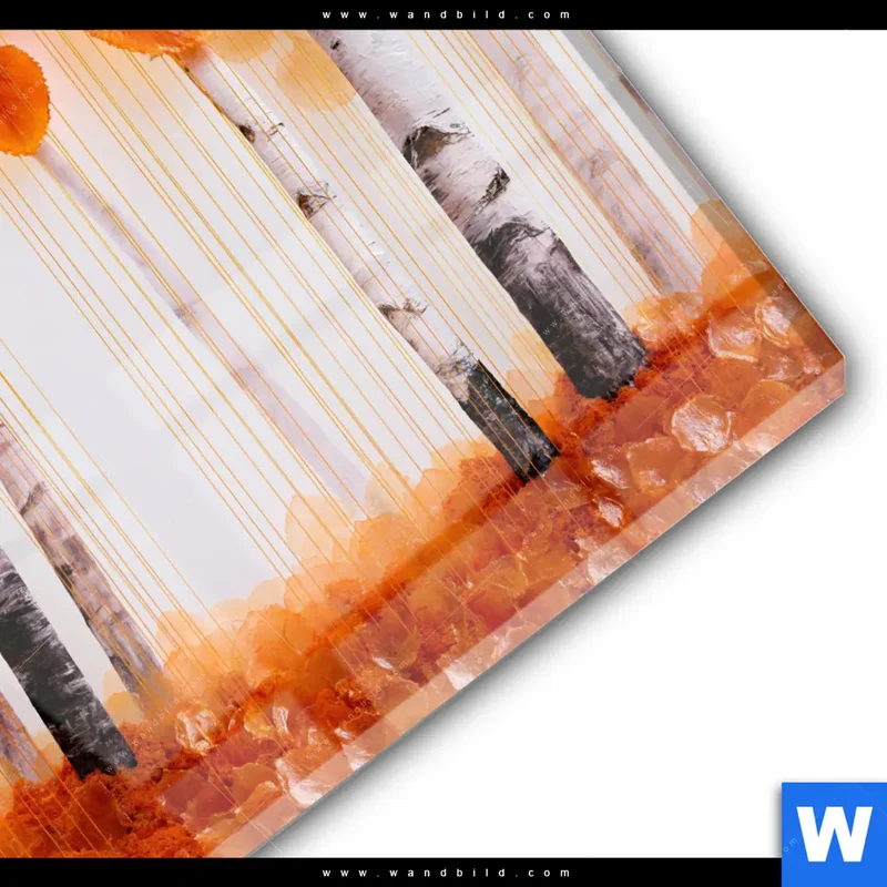 Acrylglasbild | Herbstlicht | Quadrat