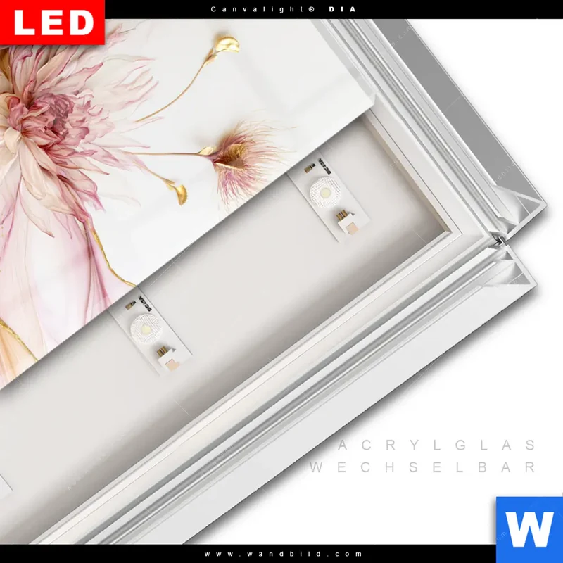 Leuchtbild Acrylglas Canvalight® DIA | Florale Harmonie | Quadrat