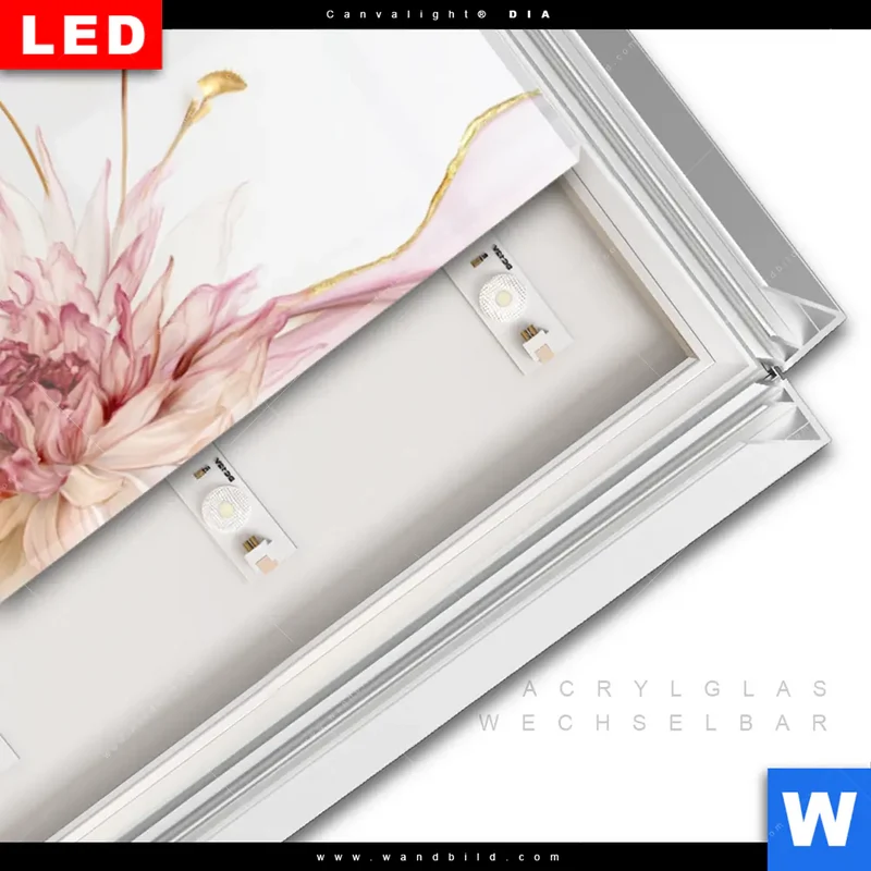 Leuchtbild Acrylglas Canvalight® DIA | Florale Harmonie | Panorama