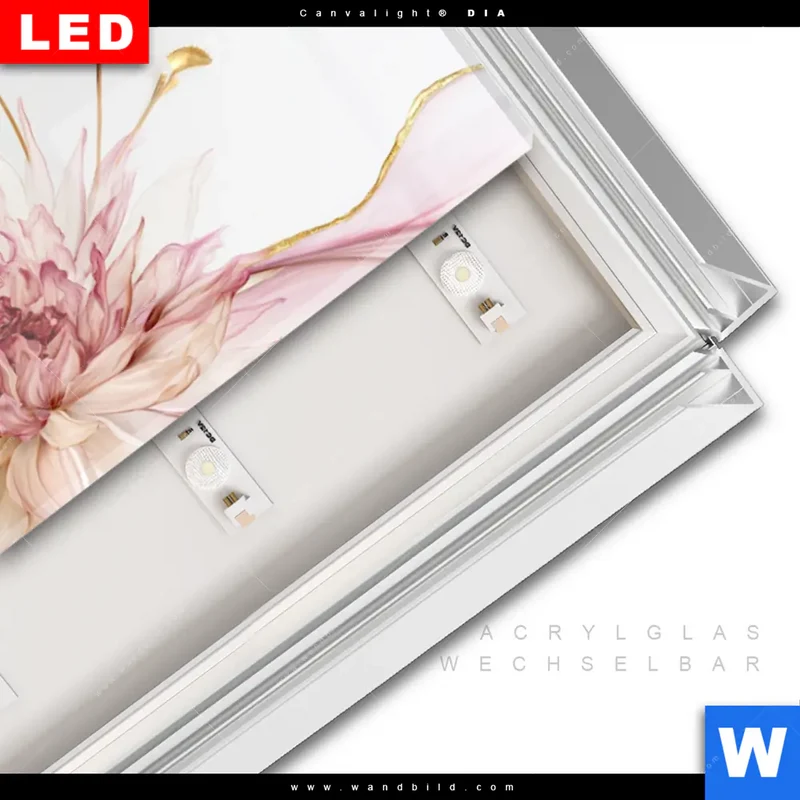Leuchtbild Acrylglas Canvalight® DIA | Florale Harmonie | Schmal
