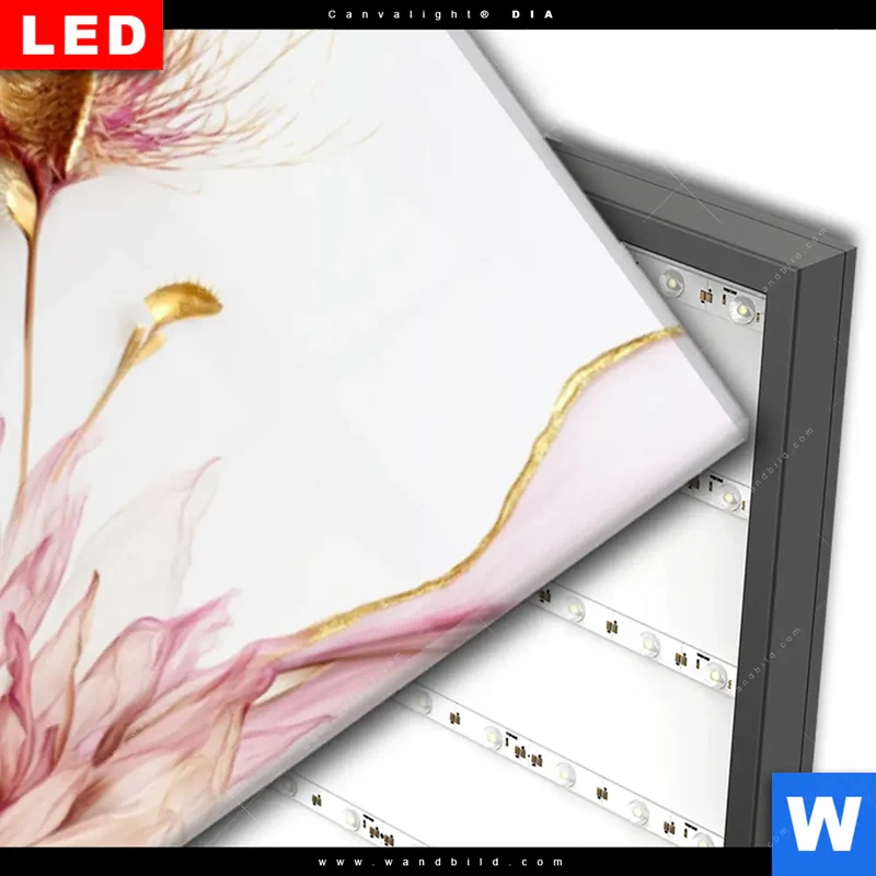 Wechselmotiv Acrylglas Canvalight® DIA | Florale Harmonie | Panorama