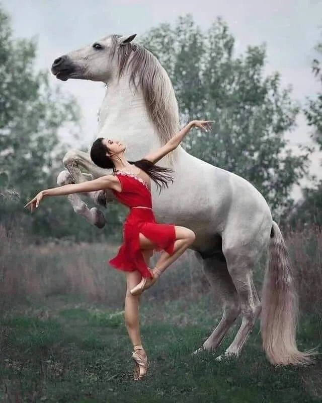 Fantasy PIX-1843