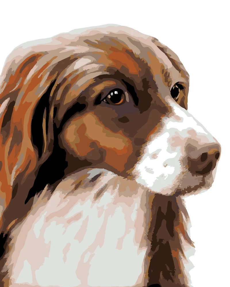 Diamond painting - COCKERSPANIEL (MYROSLAVA VOLOSCHUK)