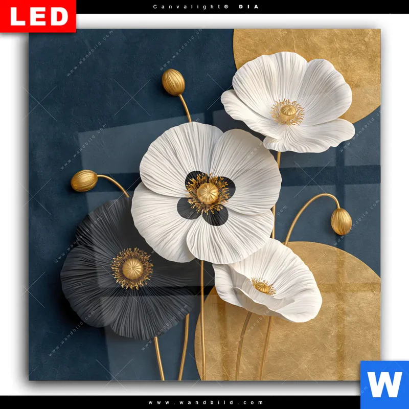 Wechselmotiv Acrylglas Canvalight® DIA | Golden Poppies | Quadrat
