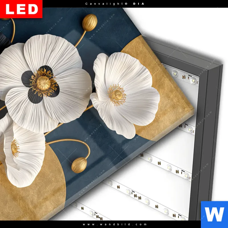 Wechselmotiv Acrylglas Canvalight® DIA | Golden Poppies | Quadrat