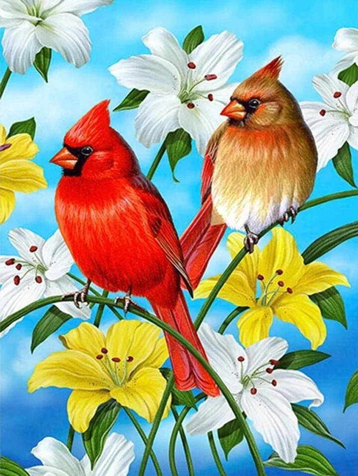 Roter Kardinal - Voll AB 5D DIY Diamond Painting