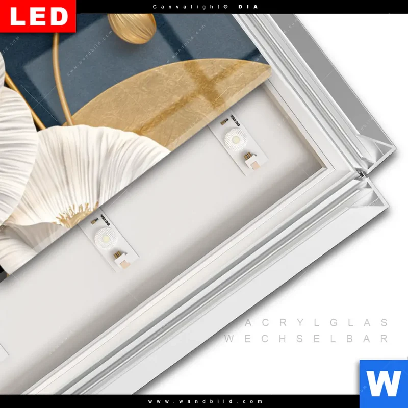 Leuchtbild Acrylglas Canvalight® DIA | Golden Poppies | Panorama