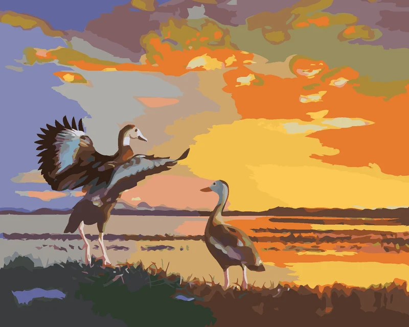 Diamond painting - ENTEN UND SONNENUNTERGANG (D. RUSTY RUST)