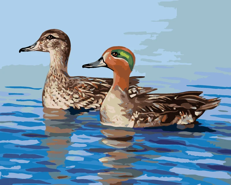 Diamond painting - ENTEN AUF DEM WASSER (D. RUSTY RUST)