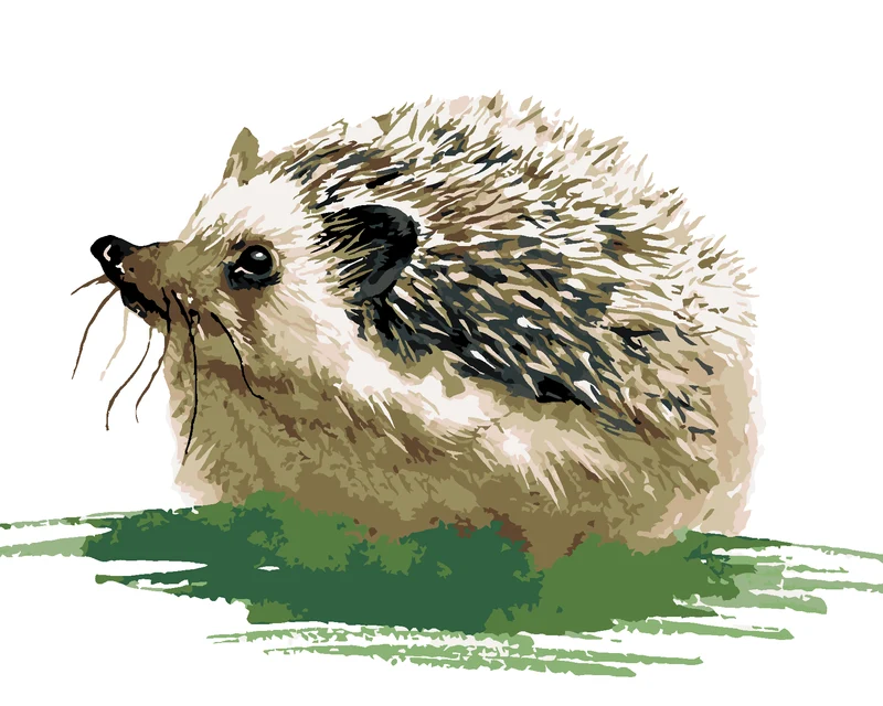 Diamond painting - IGEL IM GRAS