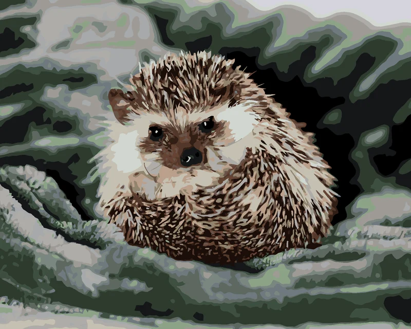 Diamond painting - IGEL AUF EINER GRÜNEN DECKE