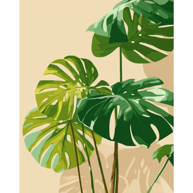 Sonnenbeschienene Monstera