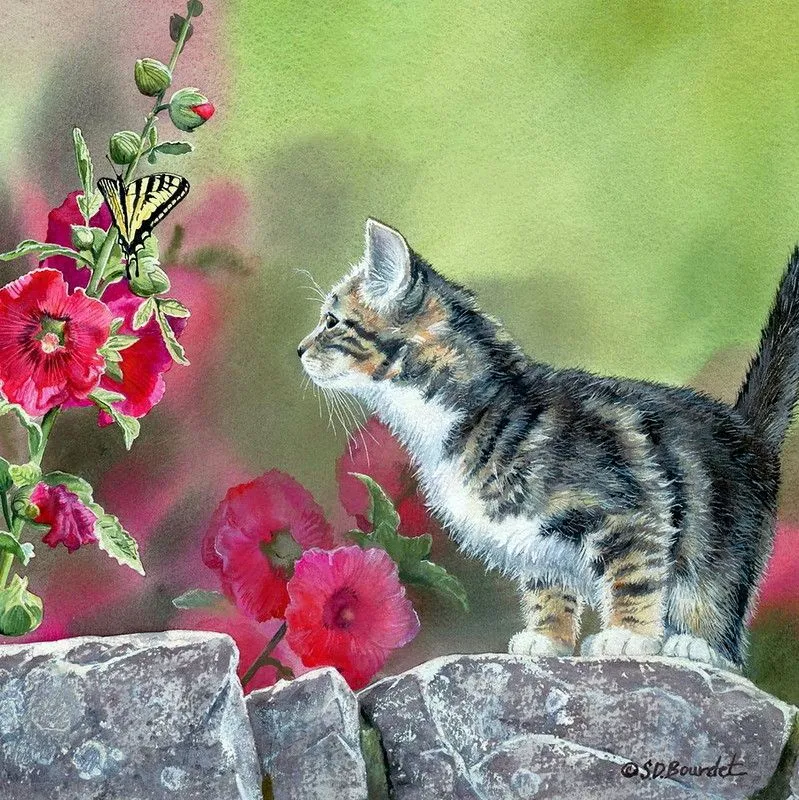 Animals PIX-2471
