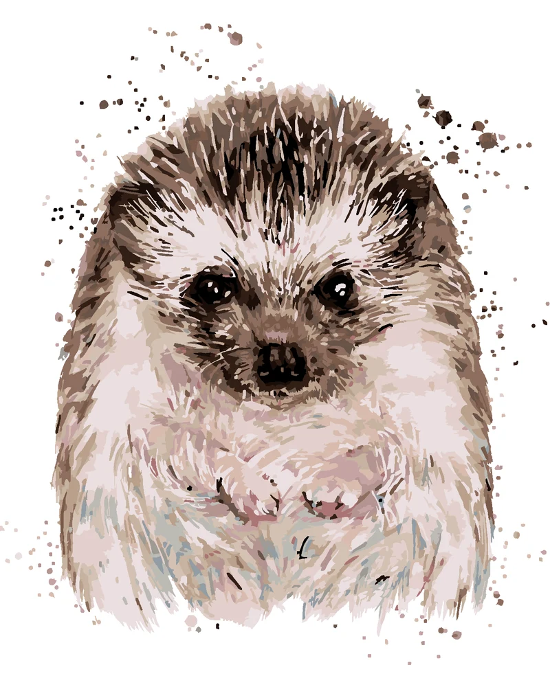Diamond painting - IGEL MIT WEISSEM HINTERGRUND