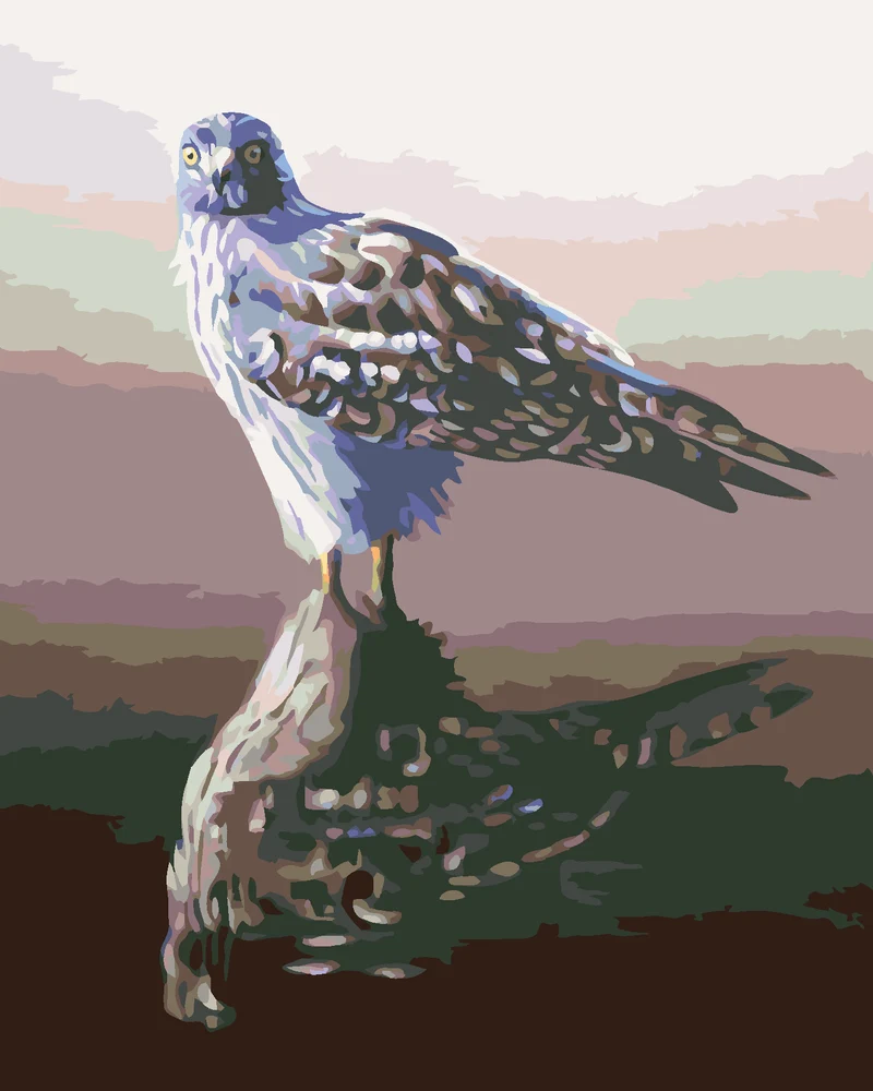 Diamond painting - HABICHT IN DER REFLEXION (D. RUSTY RUST)