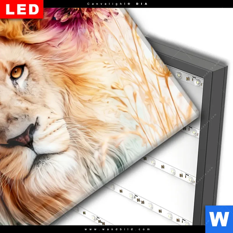 Wechselmotiv Acrylglas Canvalight® DIA | Florale Stärke – Der Löwe | Querformat