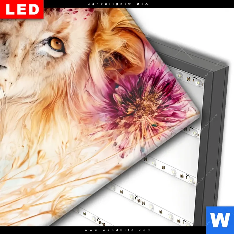 Wechselmotiv Acrylglas Canvalight® DIA | Florale Stärke – Der Löwe | Quadrat