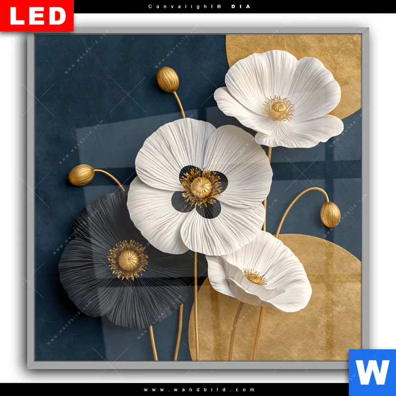 Leuchtbild Acrylglas Canvalight® DIA | Golden Poppies | Quadrat