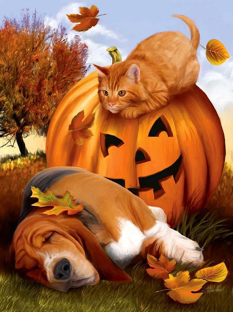 Thanksgiving Day & Halloween PIX-3292
