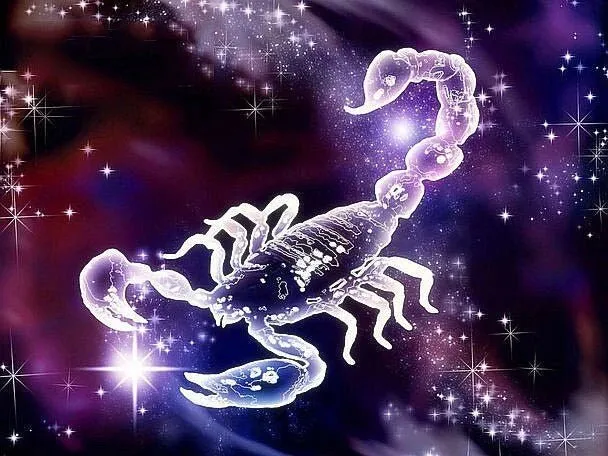Sternzeichen Skorpion - 5D DIY Diamond Painting