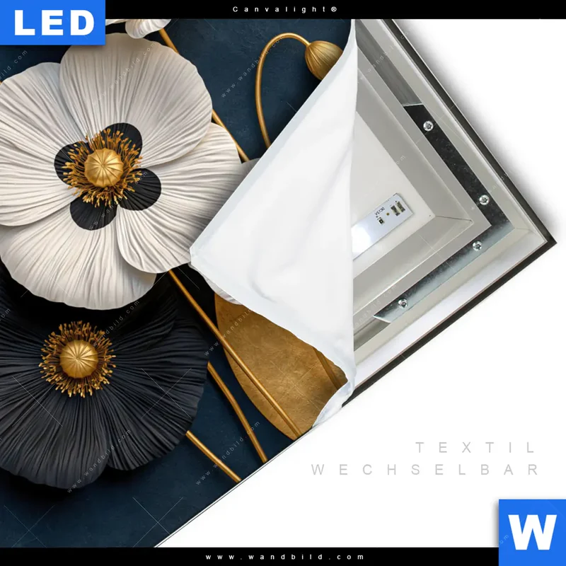 Canvalight® Leuchtbild | Golden Poppies | Quadrat