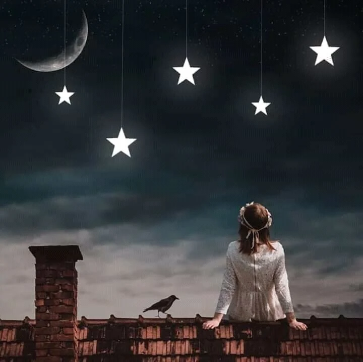 Fantasy PIX-1800