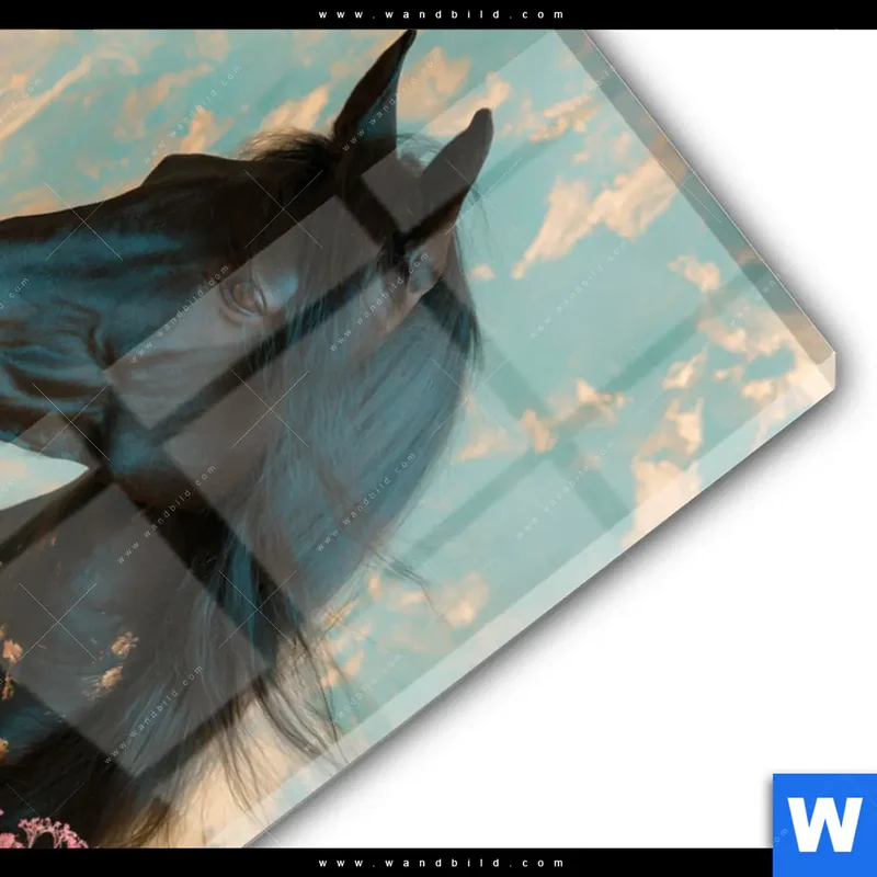 Acrylglasbild | Schwarzes Pferd im Blütenmeer | Hochformat