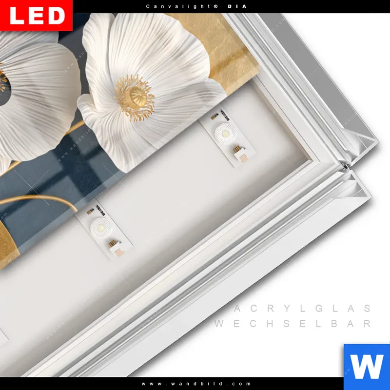 Leuchtbild Acrylglas Canvalight® DIA | Golden Poppies | Hochformat