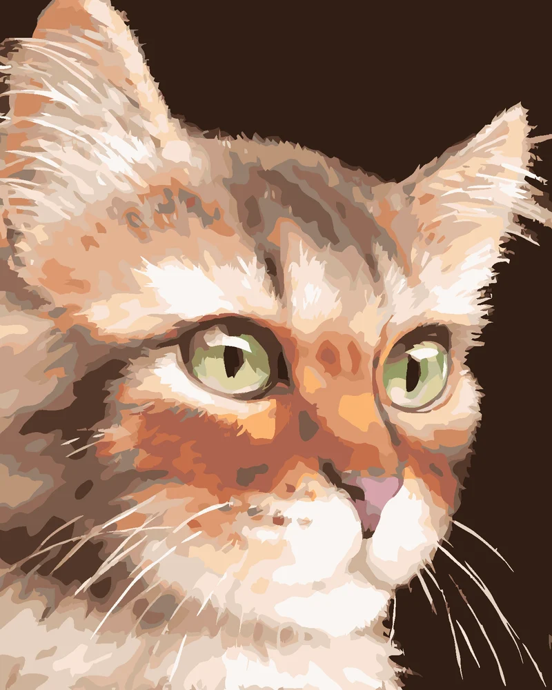 Diamond painting - KATZE (MYROSLAVA VOLOSCHUK)