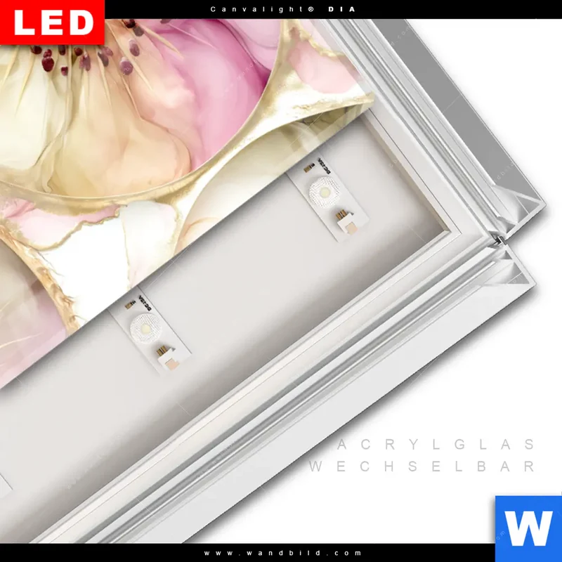 Leuchtbild Acrylglas Canvalight® DIA | Kiwi - Edle Fruchtfantasie | Panorama