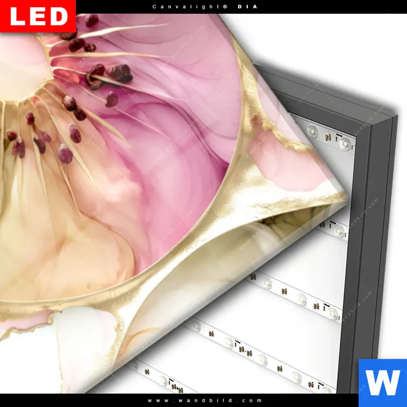 Wechselmotiv Acrylglas Canvalight® DIA | Kiwi - Edle Fruchtfantasie | Panorama