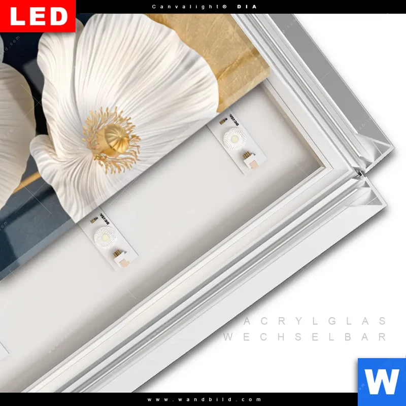 Leuchtbild Acrylglas Canvalight® DIA | Golden Poppies | Schmal
