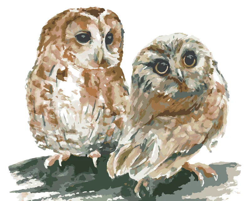 Diamond painting - ZWEI EULEN AUF WEISSEM HINTERGRUND