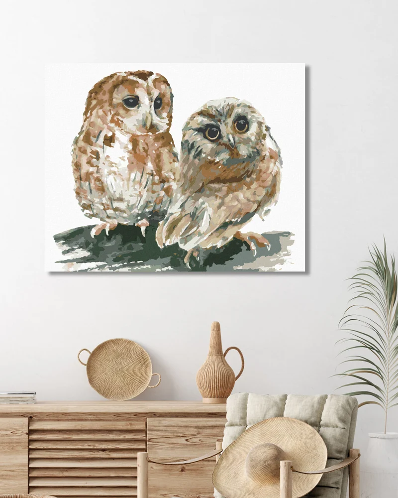 Diamond painting - ZWEI EULEN AUF WEISSEM HINTERGRUND