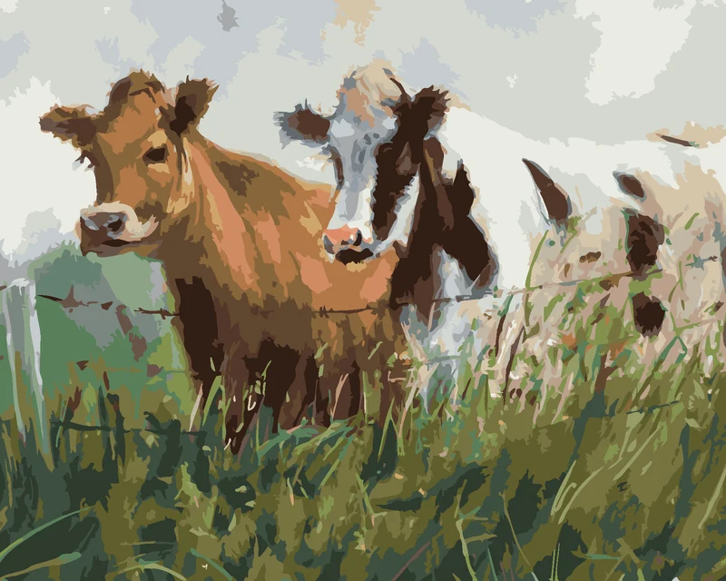 Diamond painting - ZWEI KÜHE HINTER WEIDEZAUN
