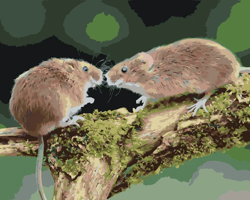 Diamond painting - ZWEI MÄUSE IM WALD
