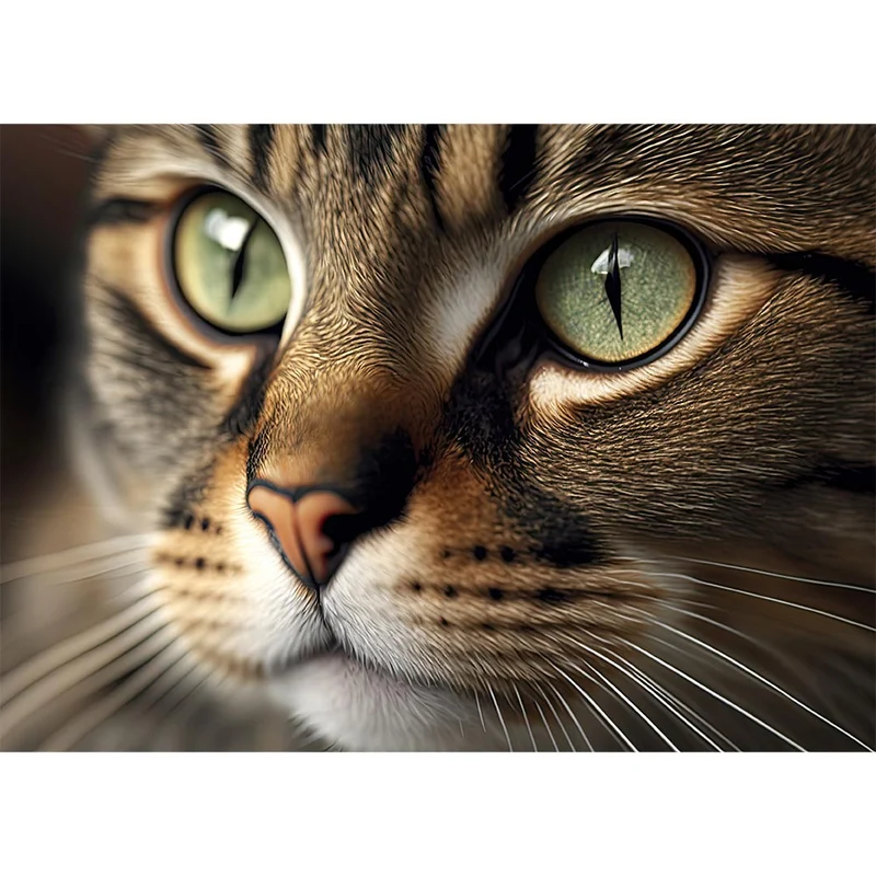 5D Diamond Painting – Graue Katze