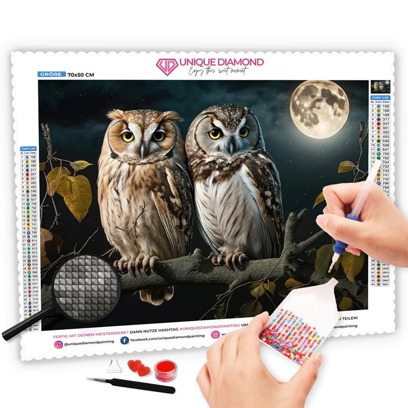 5D Diamond Painting – Eulen In Mondschein